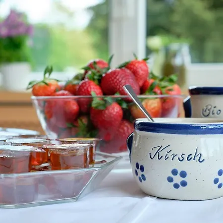 Pensión Zum Storchennest Bann