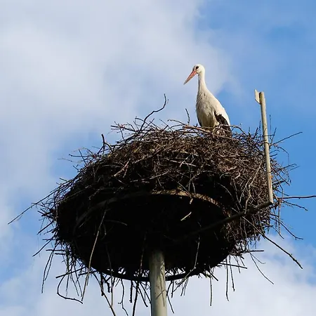 Pensionat Zum Storchennest 3*