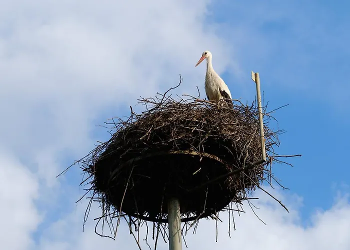 בית הארחה Zum Storchennest 3*